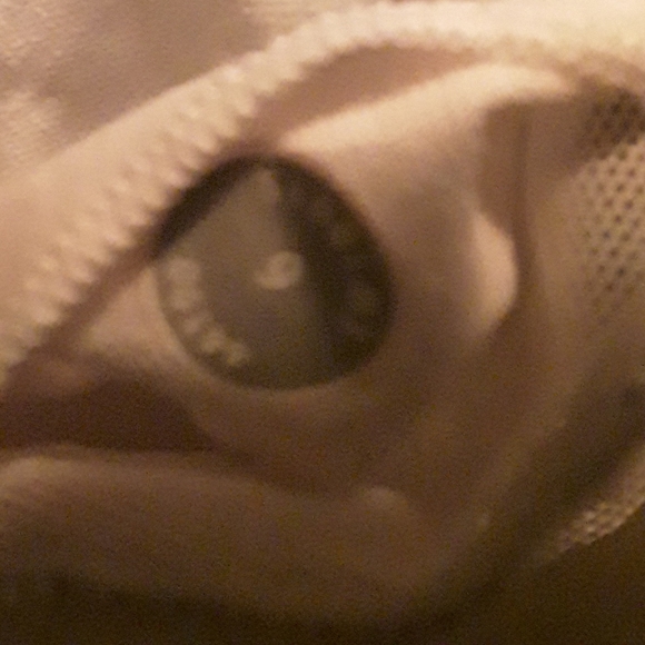 Lululemon Power Y Tank White Stripe Zippy Green - Picture 10 of 10